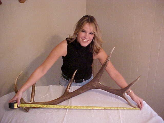 Elk Antler found by Ashley Wilson, April 18, 2005